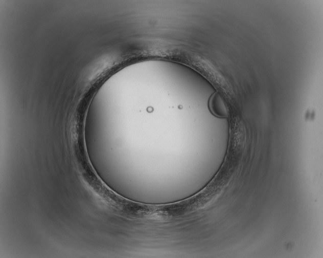 X0000097480683200802221353