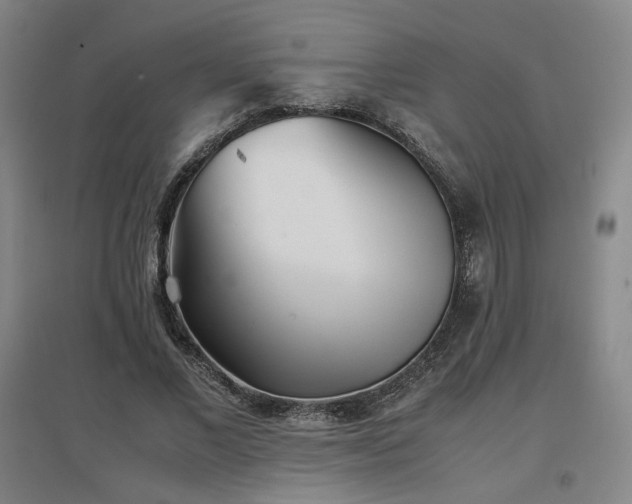 X0000097480685200802221352