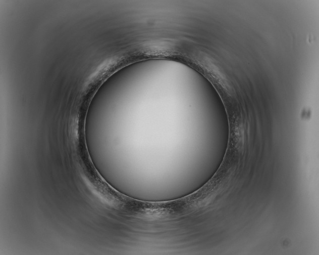 X0000097480686200802221352