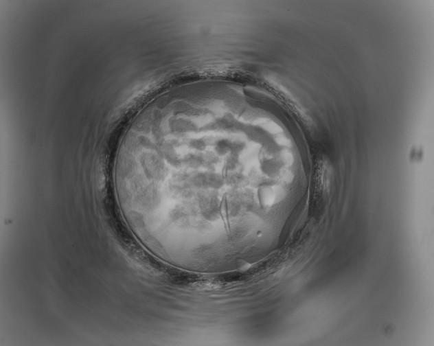X0000097480687200802221352