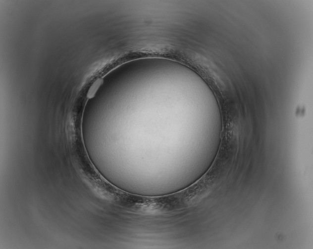 X0000097480688200802221352