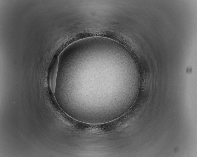X0000097480689200802221352