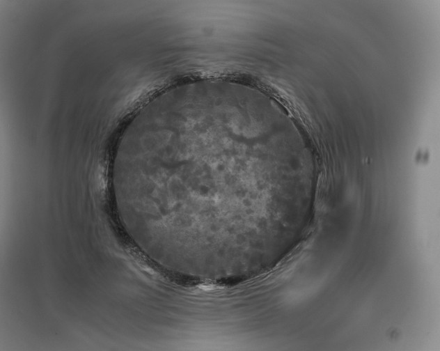 X0000097480691200802221352