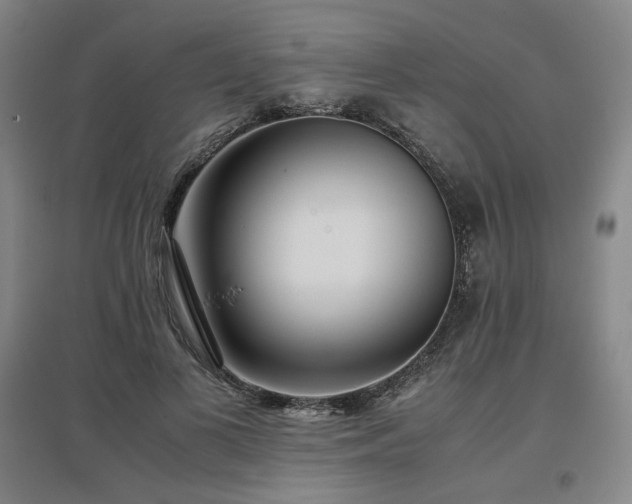 X0000097480693200802221352