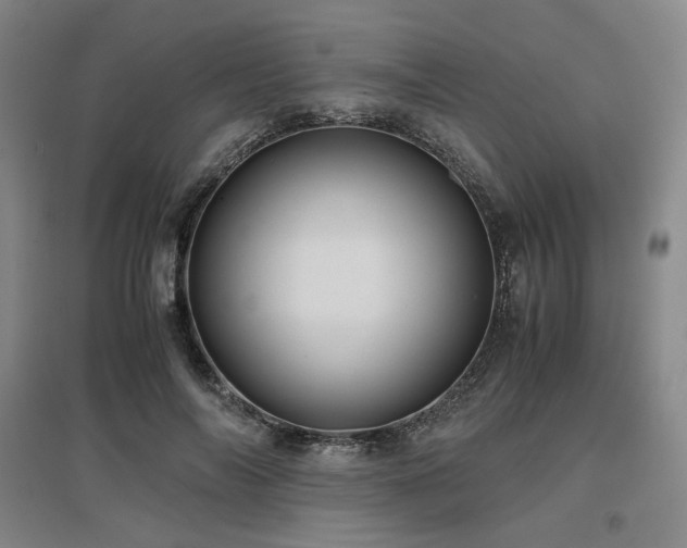X0000097480694200802221352