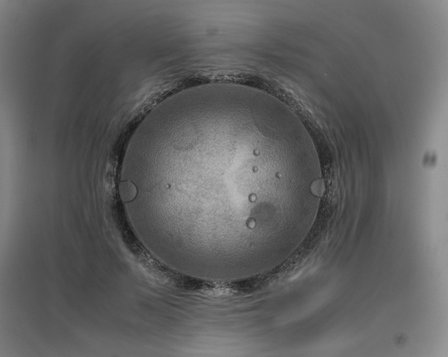 X0000097480695200802221352