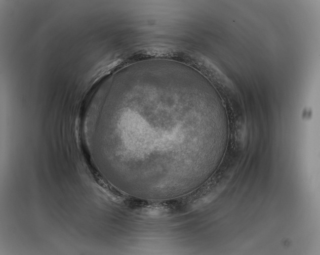 X0000097480696200802221352
