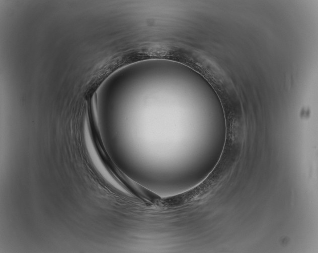 X0000097480697200802221352