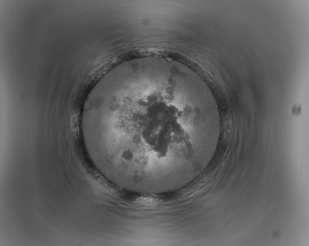 X0000097480699200802221352