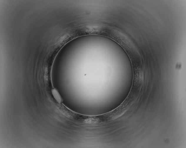 X0000097480700200802221352