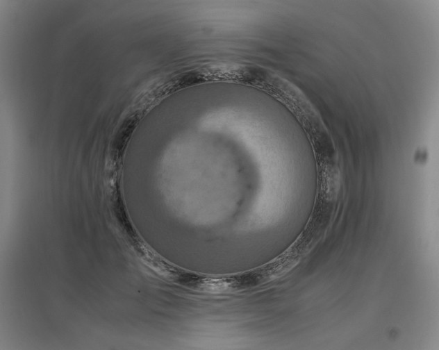 X0000097480701200802221352