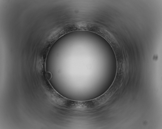 X0000097480702200802221352