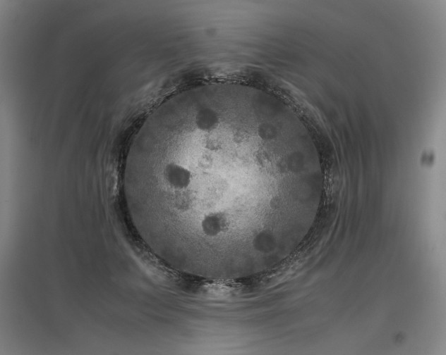 X0000097480703200802221352