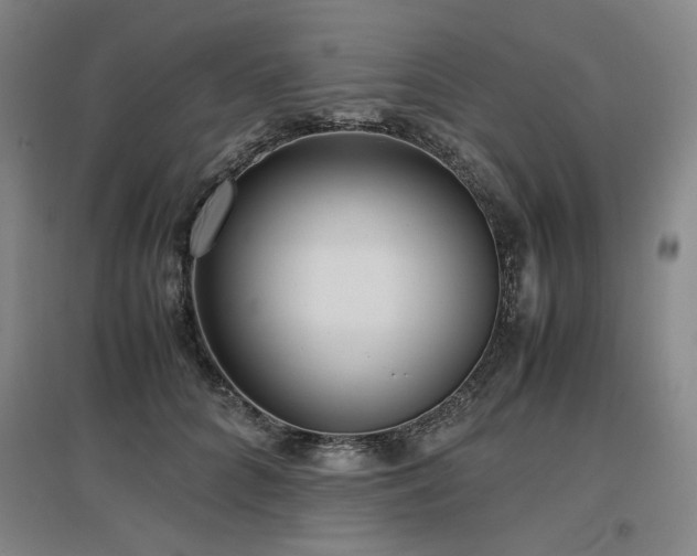 X0000097480704200802221352