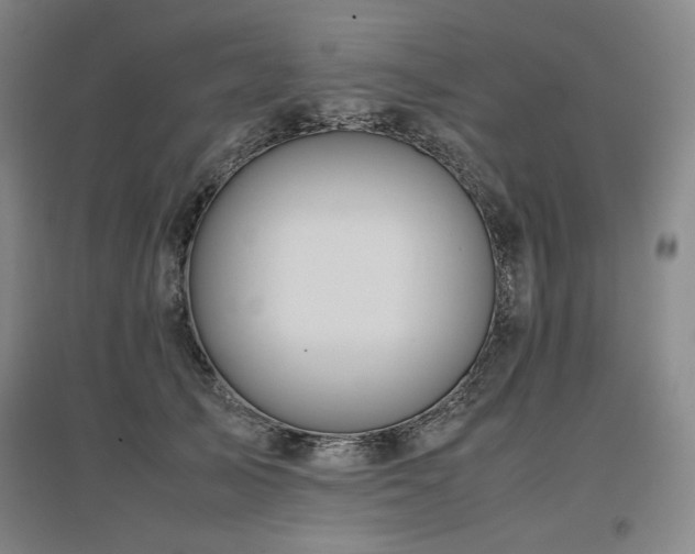 X0000097480705200802221352