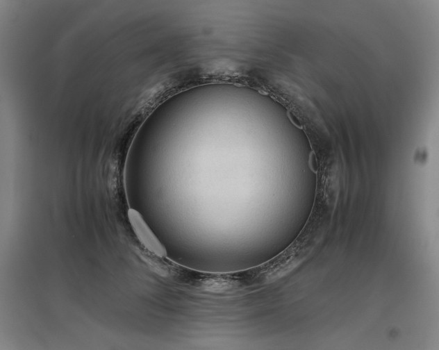 X0000097480708200802221352