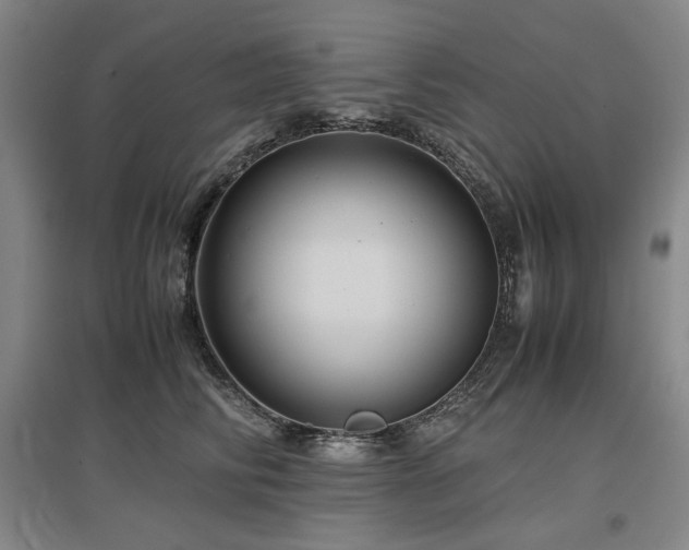 X0000097480710200802221352