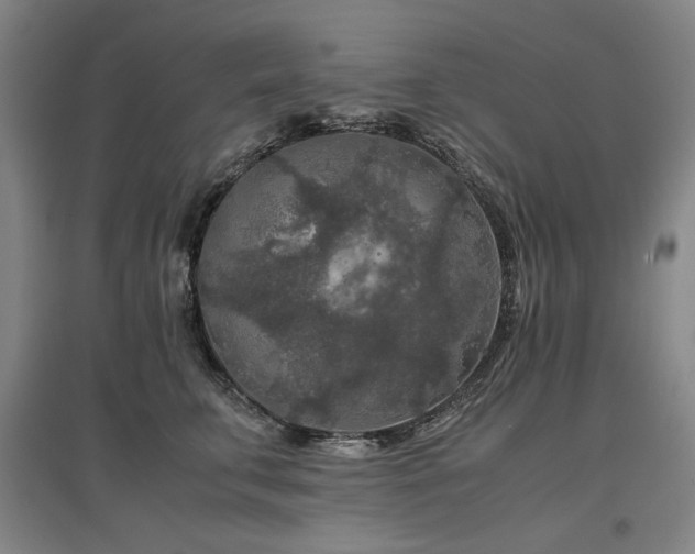 X0000097480711200802221352