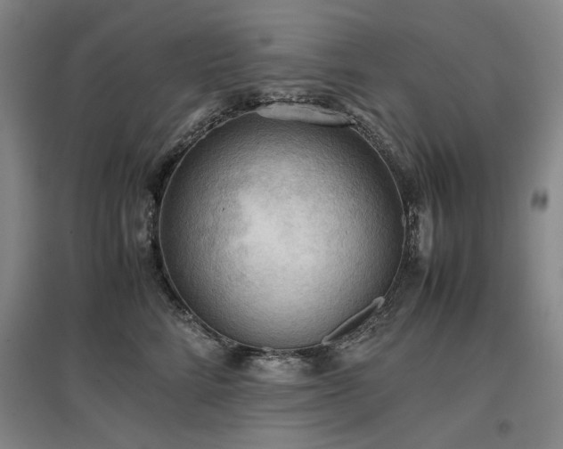 X0000097480712200802221352