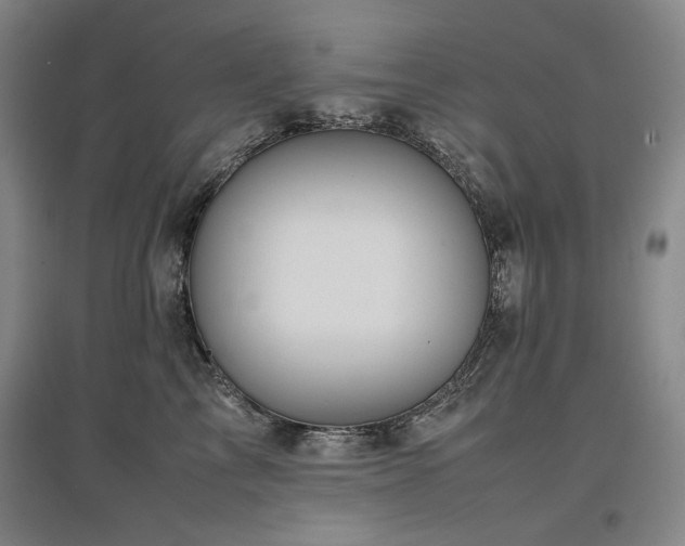 X0000097480713200802221352