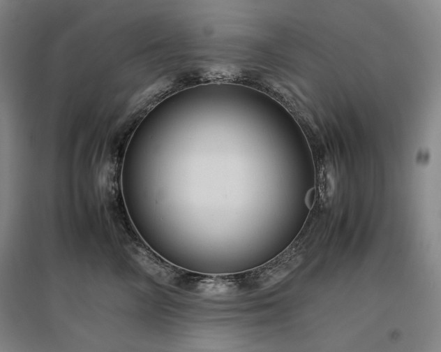 X0000097480714200802221352