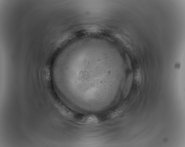 X0000097480715200802221352