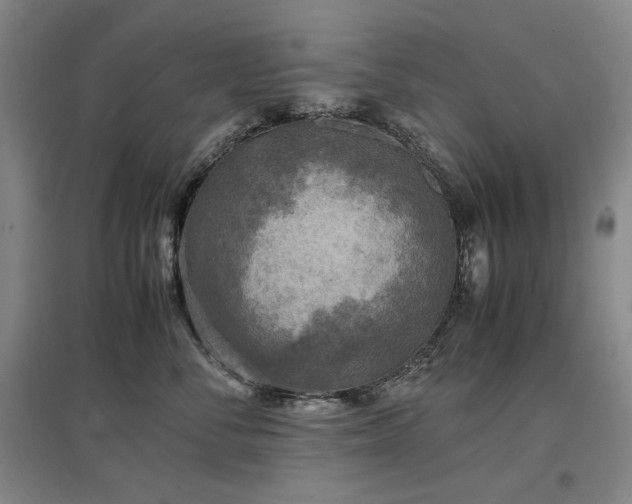 X0000097480716200802221352