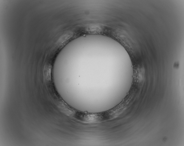 X0000097480717200802221352