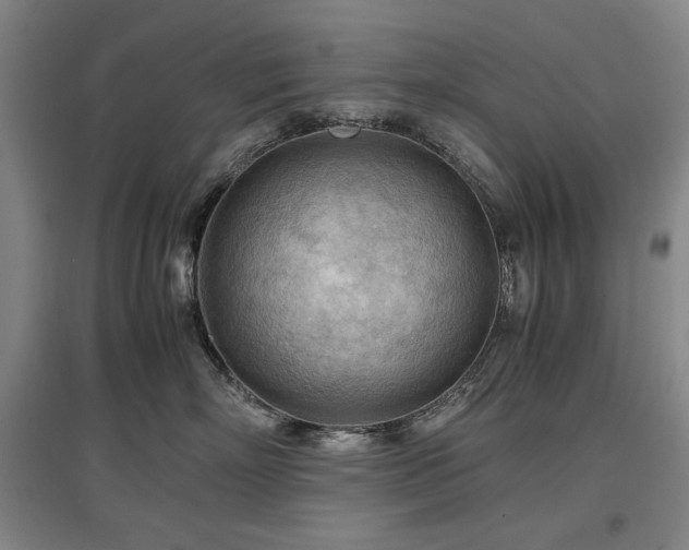 X0000097480718200802221352