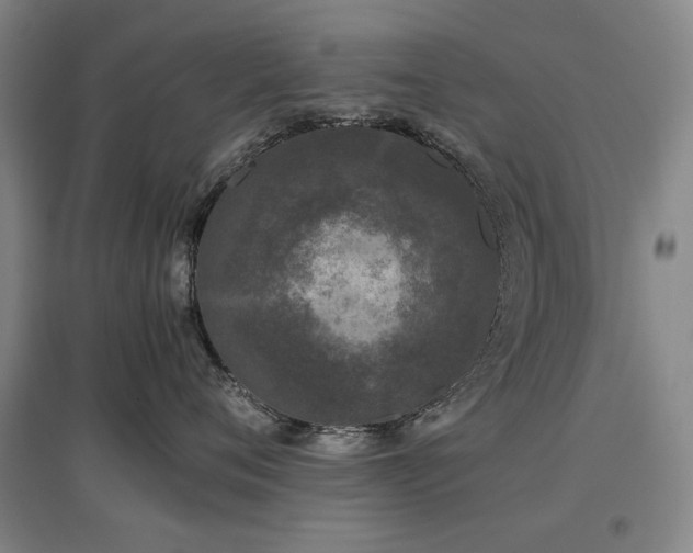 X0000097480720200802221352