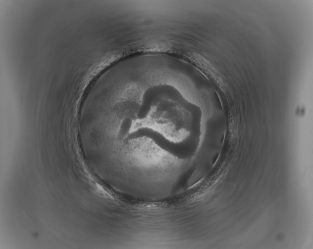 X0000097480721200802221351
