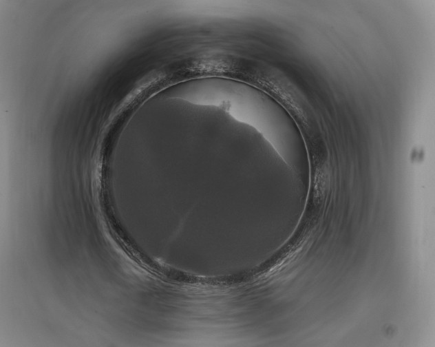 X0000097480722200802221351