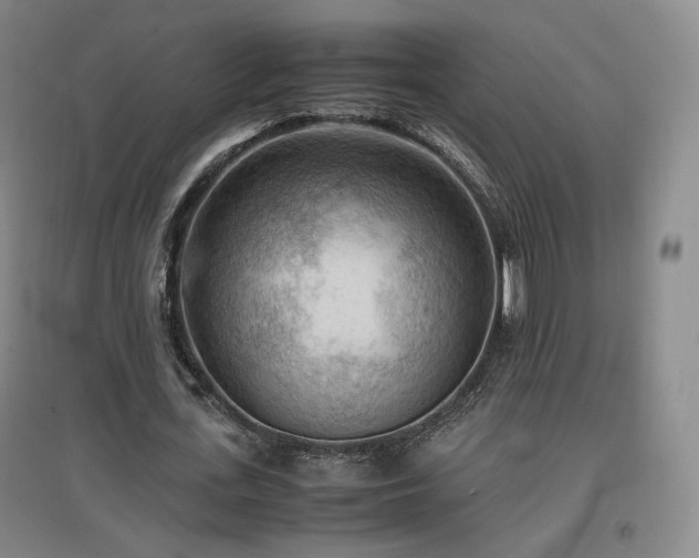 X0000097480723200802221351