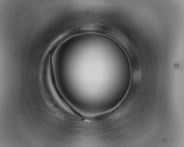 X0000097480724200802221351