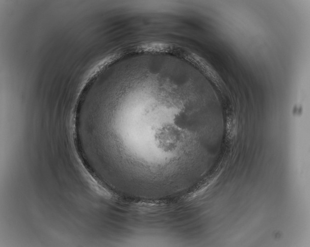 X0000097480725200802221351