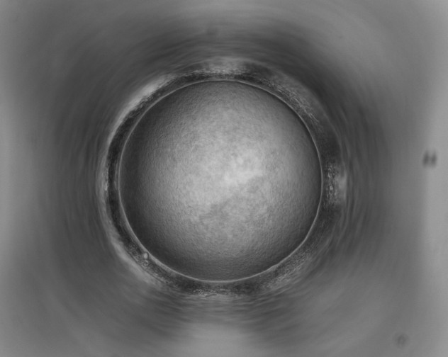 X0000097480726200802221351