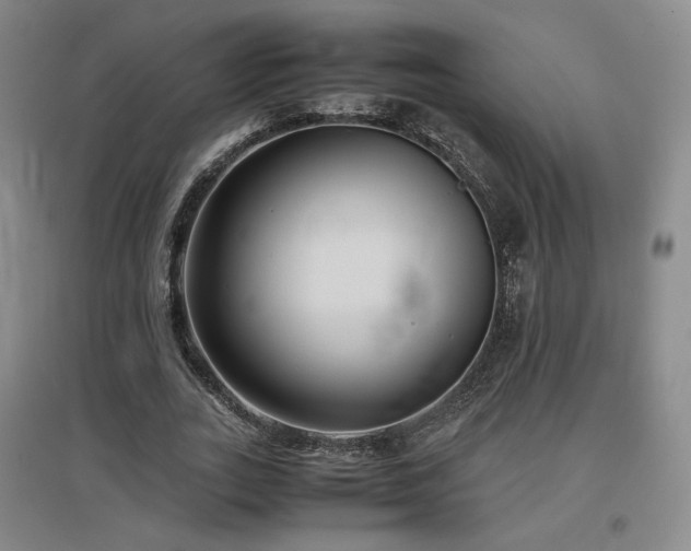 X0000097480727200802221351