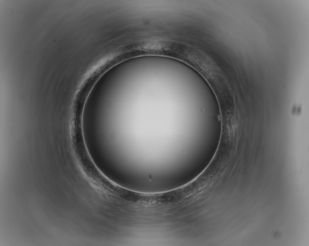 X0000097480728200802221351