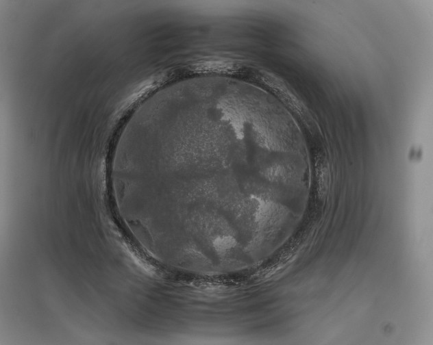 X0000097480729200802221351