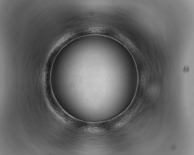 X0000097480730200802221351