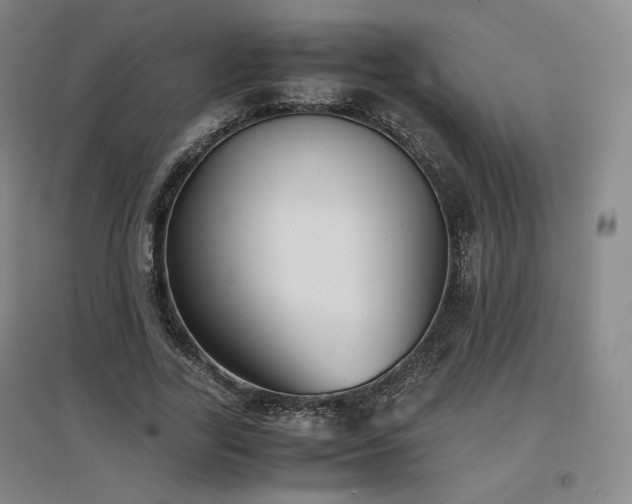 X0000097480731200802221351