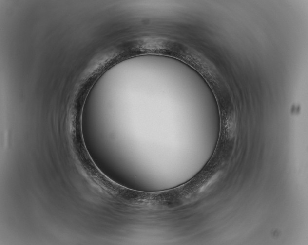 X0000097480732200802221351