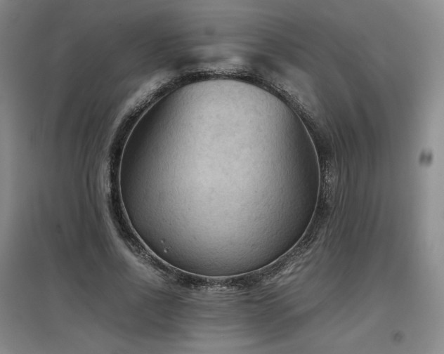 X0000097480734200802221351