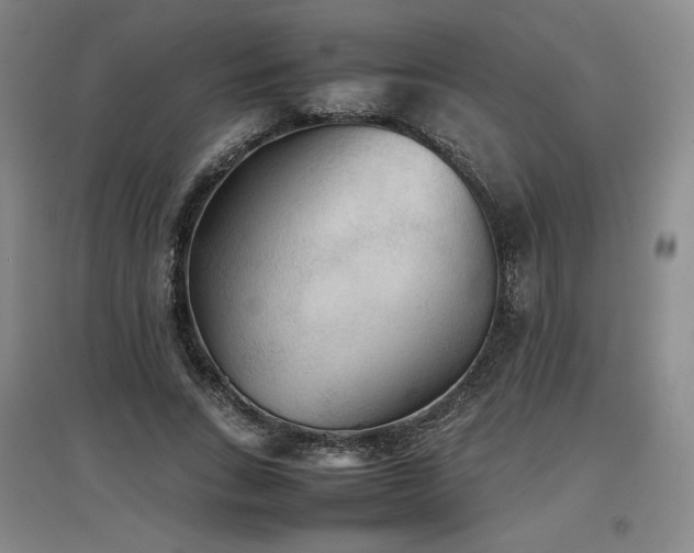 X0000097480735200802221351
