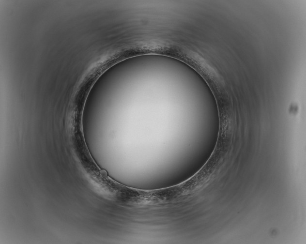 X0000097480736200802221351