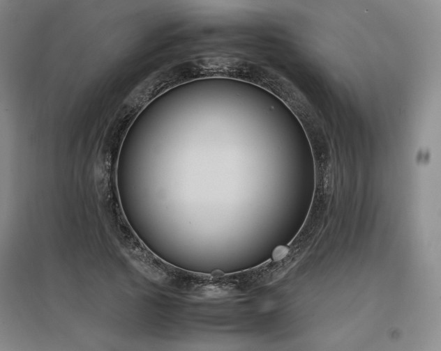 X0000097480737200802221351