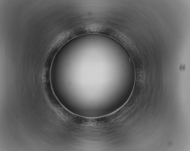 X0000097480738200802221351