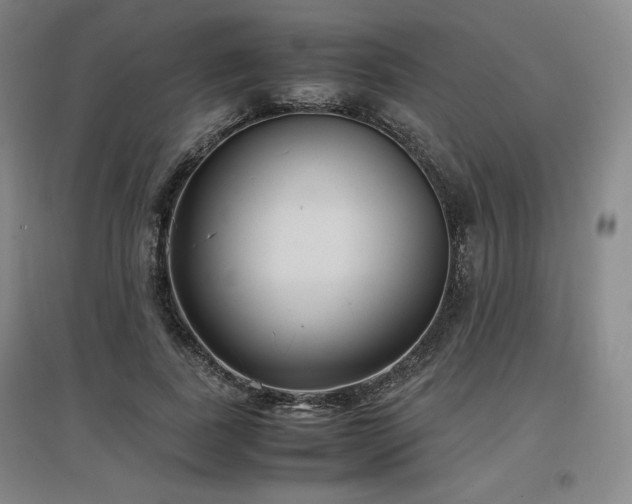 X0000097480739200802221351