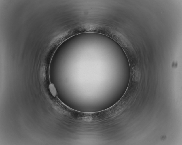 X0000097480740200802221351