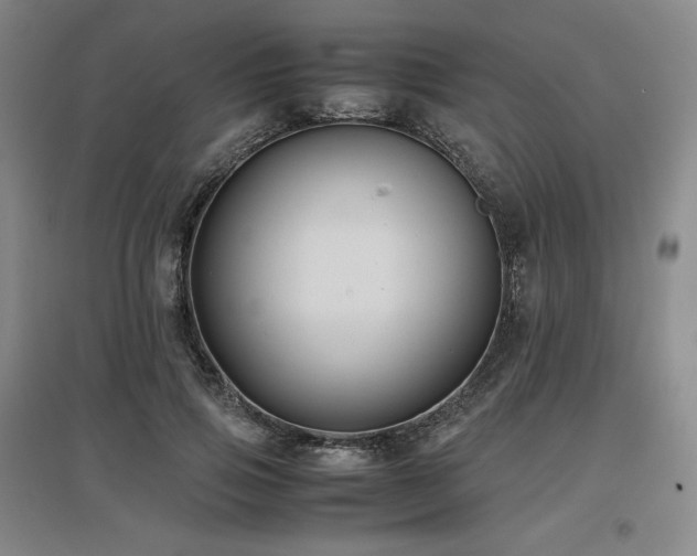 X0000097480741200802221351